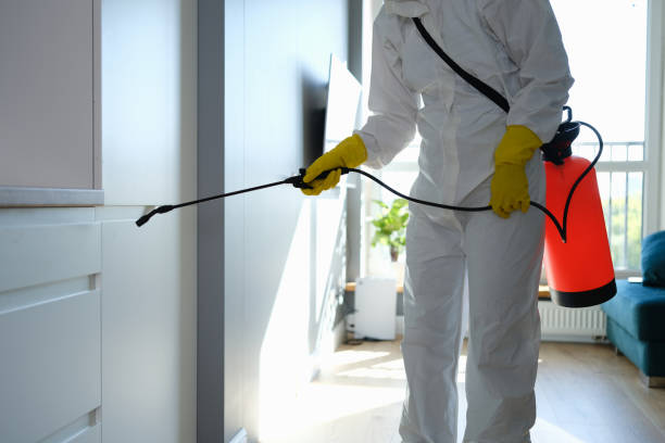 Best Residential Mold Removal  in Whiteriver, AZ